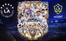 LAでサッカーを楽しむために | Discover Los Angeles